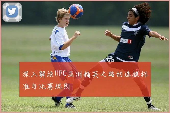 深入解读UFC亚洲精英之路的选拔标准与比赛规则