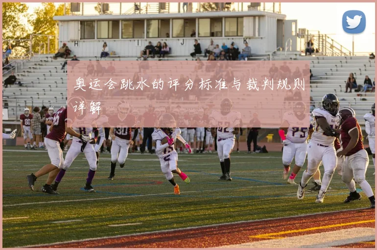 奥运会跳水的评分标准与裁判规则详解