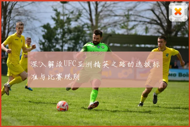 深入解读UFC亚洲精英之路的选拔标准与比赛规则