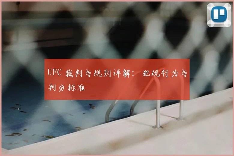 UFC 裁判与规则详解：犯规行为与判分标准