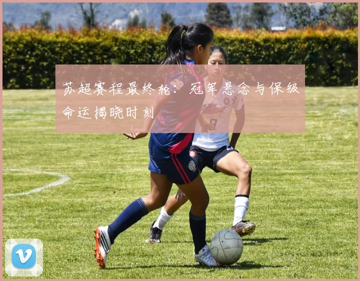 苏超赛程最终轮:冠军悬念与保级命运揭晓时刻