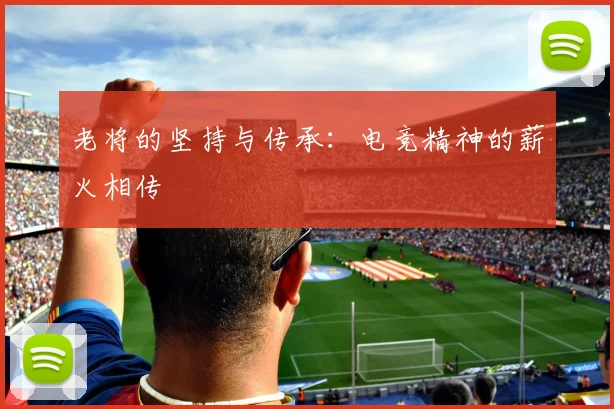 老将的坚持与传承：电竞精神的薪火相传